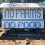 Casey Patterson Instagram – 🤍🌱🥚🌾🐇 Thankful to the farming community of growers, harvesters, the trucking industry and every human along the way in the food chain this holiday weekend. All are making it possible for us to shelter safely, while they risk. If you can, give today. @feedingamerica @farmaid 🙏🏻🇺🇸 Home