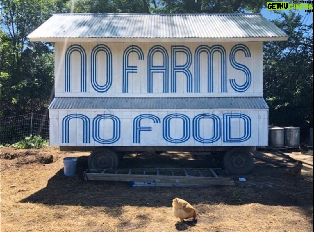 Casey Patterson Instagram - π€π±π₯πΎπ Thankful to the farming community of growers, harvesters, the trucking industry and every human along the way in the food chain this holiday weekend. All are making it possible for us to shelter safely, while they risk. If you can, give today. @feedingamerica @farmaid ππ»πΊπΈ Home