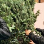 Casey Patterson Instagram - He totally made that up about symmetry, not our first rodeo together🌲 But I love you @sohotrees so I’m going to let you have it! 😘 PS Where are you?! You’re late!!! 🥂🌲🥂🌲🥂 PPS Every production designer I know is so happy it’s these guys and not them :-) Soho, New York