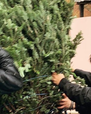 Casey Patterson Instagram - He totally made that up about symmetry, not our first rodeo together🌲 But I love you @sohotrees so I’m going to let you have it! 😘 PS Where are you?! You’re late!!! 🥂🌲🥂🌲🥂 PPS Every production designer I know is so happy it’s these guys and not them :-)