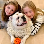 Casey Patterson Instagram - Prepare for God Daughter Holiday Content 🐶🍁