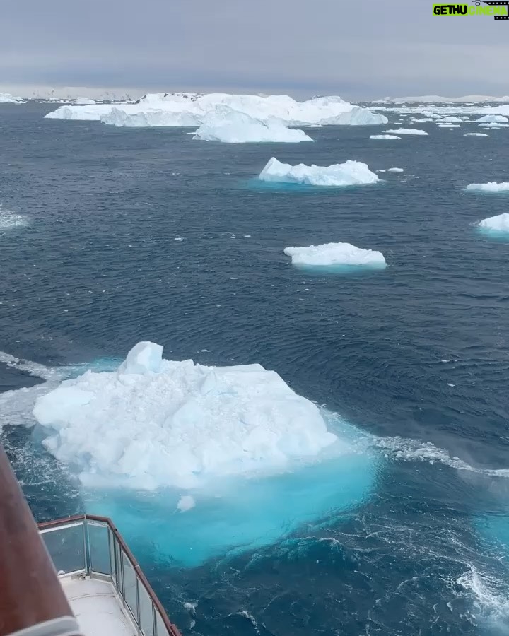Cassandra Scerbo Instagram - Some more South Pole spam 🫶🏼 Antarctica