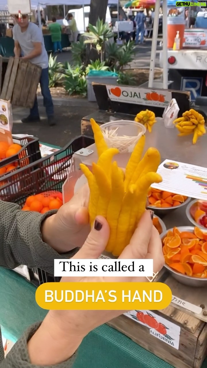 Cat Cora Instagram - Have you ever seen one of these?! 🍋 #buddhashand #citrus #foodfinds