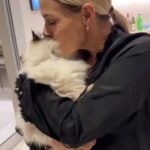 Cat Cora Instagram - Happy Caturday y’all ❤️😻 #caturday #IC3