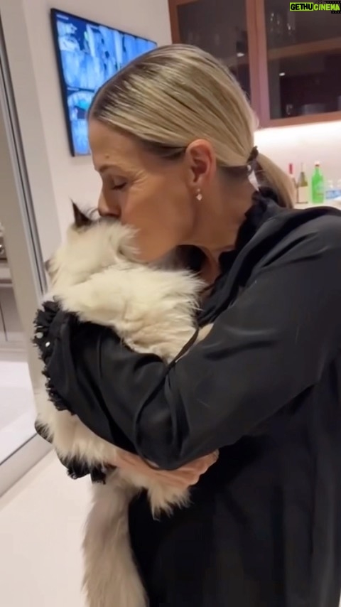 Cat Cora Instagram - Happy Caturday y’all ❤️😻 #caturday #IC3