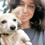 Catherine Bell Instagram - Island pup 🏝️ #chiweenie #puppy #puppiesofinstagram #island #islandlife #beach