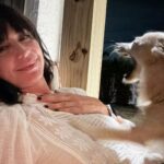 Catherine Bell Instagram - Sweet little cuddles… and then 🦁 haha. (Swipe left) It’s actually just a yawn but he looks so ferocious! 😂