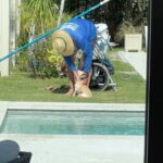 Catherine Bell Instagram - I wondered why Charlie was barking so much because he usually never does and then I realized Tim the Pool Man is here! 🥰💙
