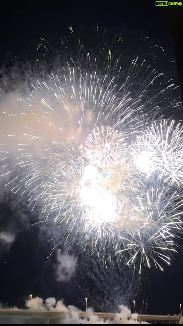 Catherine Bell Instagram - Another amazing 4th of July fireworks show in Clearwater beach π never disappoints! πΊπΈβ€οΈπ€π hope everyone had a safe and fun 4th!!!! Xx