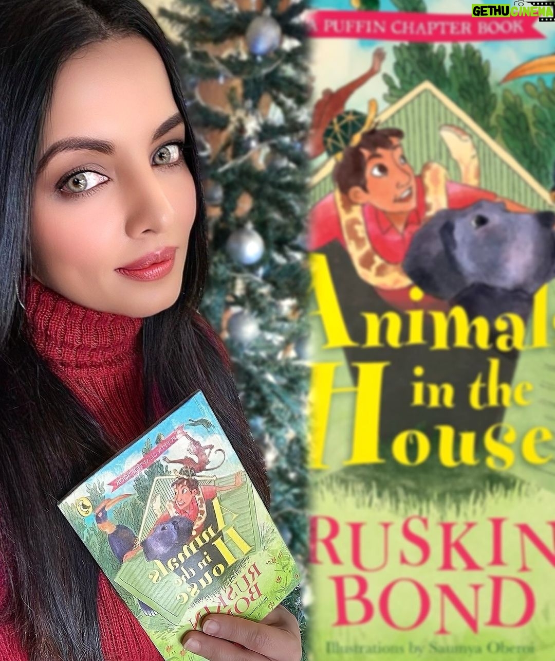 Celina Jaitly Instagram - Super excited about tomorrow as I look forward to sharing with you all an amazing tête-à-tête across the continents of Europe and Asia. My date with most exalted Padma Shri, Padma Bhushan, the James Bond of Indian literature, author Mr RUSKIN BOND @ruskinbondofficial I will be joining him to talk about his new children’s book ANIMALS IN THE HOUSE. The book was a big hit with my sons @winstonjhaag @viraajjhaag @arthurjhaag and above all with me because it transported me to my childhood and the many years I spent growing up with my nature loving grand parents in Lucknow, Ranikhet and Shimla as well. It’s a fan girl moment for me as the first book that I received as a little girl was one written by mr Ruskin bond. It was gifted by my grandfather to my mother and then inherited by me and is truly a family treasure. About @ruskinbondofficial : Decorated with India’s highest civilian awards, Padma Shri, Padma Bhushan his first novel, The Room on the Roof, was published in 1956, and it received the John Llewellyn Rhys Prize in 1957. Mr Bond has authored more than 500 short stories, essays, and novels which includes 69 books for children. @ruskinbondcollection @penguinindia @penguinsters #ruskinbond #ruskinbondbooks #celinajaitly #celinajaitley #ruskinbondquotes #books #bookstagram #bollywood #missindia #missuniverso #penguinbooks