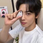 Cha Eun-woo Instagram - #dior #ladydior @dior 디올성수