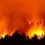 Chad James Buchanan Instagram - The Earth’s lungs are on fire. In the second image you can see a satellite fire map which shows the devastating magnitude of the crisis. If we don’t act NOW, this will drastically accelerate global warming and have an irreversible impact on our entire planet. Donate with hundreds of thousands of us... you can actually make a difference. ***Link in bio*** Amazônia, Bahia, Brazil
