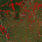 Chad James Buchanan Instagram - The Earth’s lungs are on fire. In the second image you can see a satellite fire map which shows the devastating magnitude of the crisis. If we don’t act NOW, this will drastically accelerate global warming and have an irreversible impact on our entire planet. Donate with hundreds of thousands of us... you can actually make a difference. ***Link in bio*** Amazônia, Bahia, Brazil
