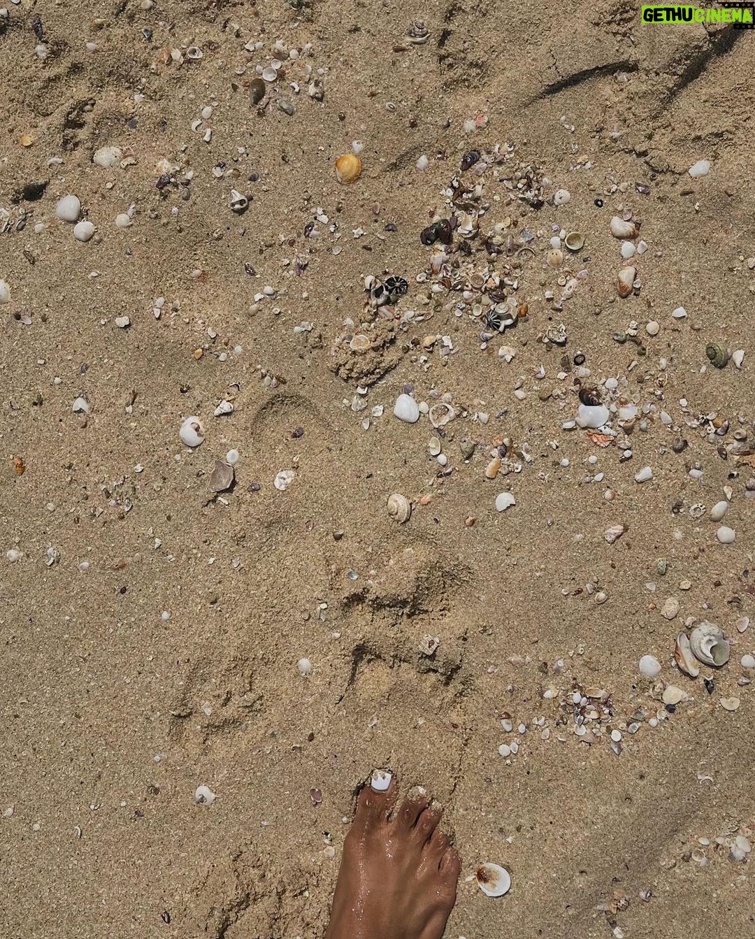 Chandrika Ravi Instagram - Some 2023 memories from different corners of the world. I truly am grateful for this seeker life I’ve been blessed to live