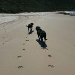 Chandrika Ravi Instagram – Trips home are good for the soul. Perth, Western Australia