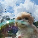 Chanyeol Instagram - 2023 잘가