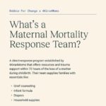 Charles S. Johnson IV Instagram - 🔁 @bobbie 💚 • Earlier this year, Bobbie For Change announced our partnership with @4kira4moms to establish the Maternal Mortality Response Team, which aims to provide resources, support, and essential items to families who've experienced the loss of a mother during childbirth.⁠ ⁠ Tragically, this program is now supporting 5 families.⁠ ⁠ Black mothers are still dying of pregnancy-related issues and complications at a rate 4x higher than white women.⁠ ⁠ So, what are we doing about it? And how can you help? Bobbie For Change has been lobbying to pass The Black Maternal Health Momnibus Act of 2021 (AKA The Momnibus), which is made up of 13 bills that comprehensively address the maternal health crisis in America. The bill is back on the floor for the third time, and it’s time to get this bill passed.⁠ ⁠ Visit the link in our bio to send a pre-written letter to your rep, and follow @4kira4moms to learn how you can support their mission. ⁠ ⁠ 4Kira4Moms is an organization that has been leading the charge and fighting for improved maternal outcomes and policy change throughout the United States since 2018.