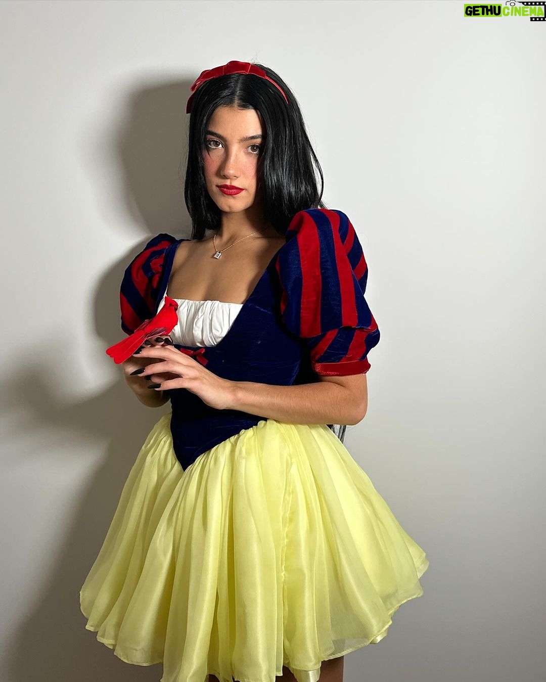 Charli D'Amelio Instagram - snow white ❤️