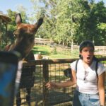 Charli D’Amelio Instagram – learning about the conservation efforts being led by the incredible team at san diego!! wildlife alliance is something I will never forget – thank you to the team at @sdzsafaripark for sharing your expertise and inspiring us to become allies for wildlife as we work towards a future where people and nature can thrive together 🤍 San Diego Safari Park