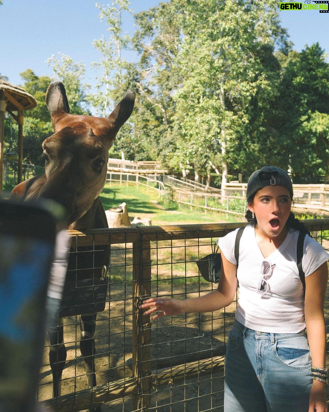 Charli D'Amelio Instagram - learning about the conservation efforts being led by the incredible team at san diego!! wildlife alliance is something I will never forget - thank you to the team at @sdzsafaripark for sharing your expertise and inspiring us to become allies for wildlife as we work towards a future where people and nature can thrive together 🤍 San Diego Safari Park