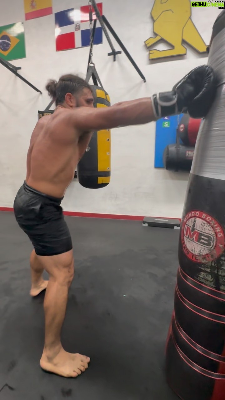 Charlie Decca Instagram - “Esta es mi playa, mi tierra, mi sol, esta soy yo” -Charlie “El Toro” Decca • • • #boxing#mma#miami#hialeah#warfare#territory#latenight#mybeach#mysun#myterritory#itsmine#fights#streetfights#fightnews#blood#hardwork#smartwork#305#dadecounty#weekendvibes#gymrat#fridaynight#microdose Kangaroo Boxing Gym
