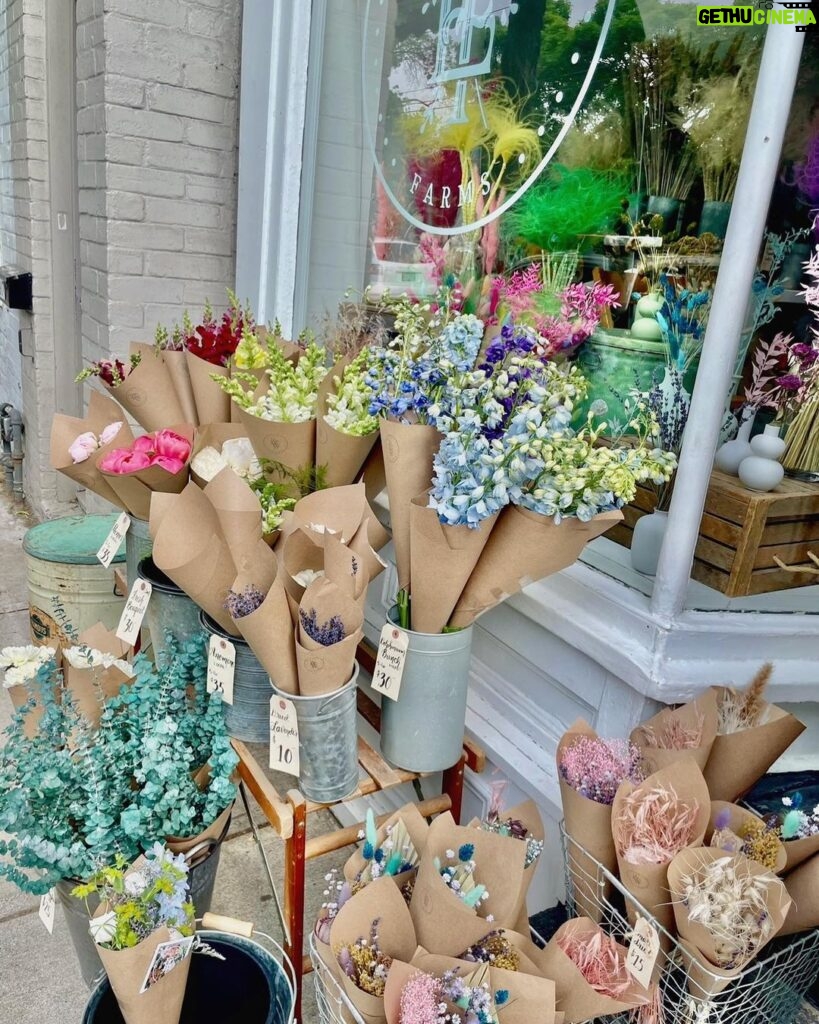 Chiara Aurelia Instagram - sunday walk to the flower store 💐