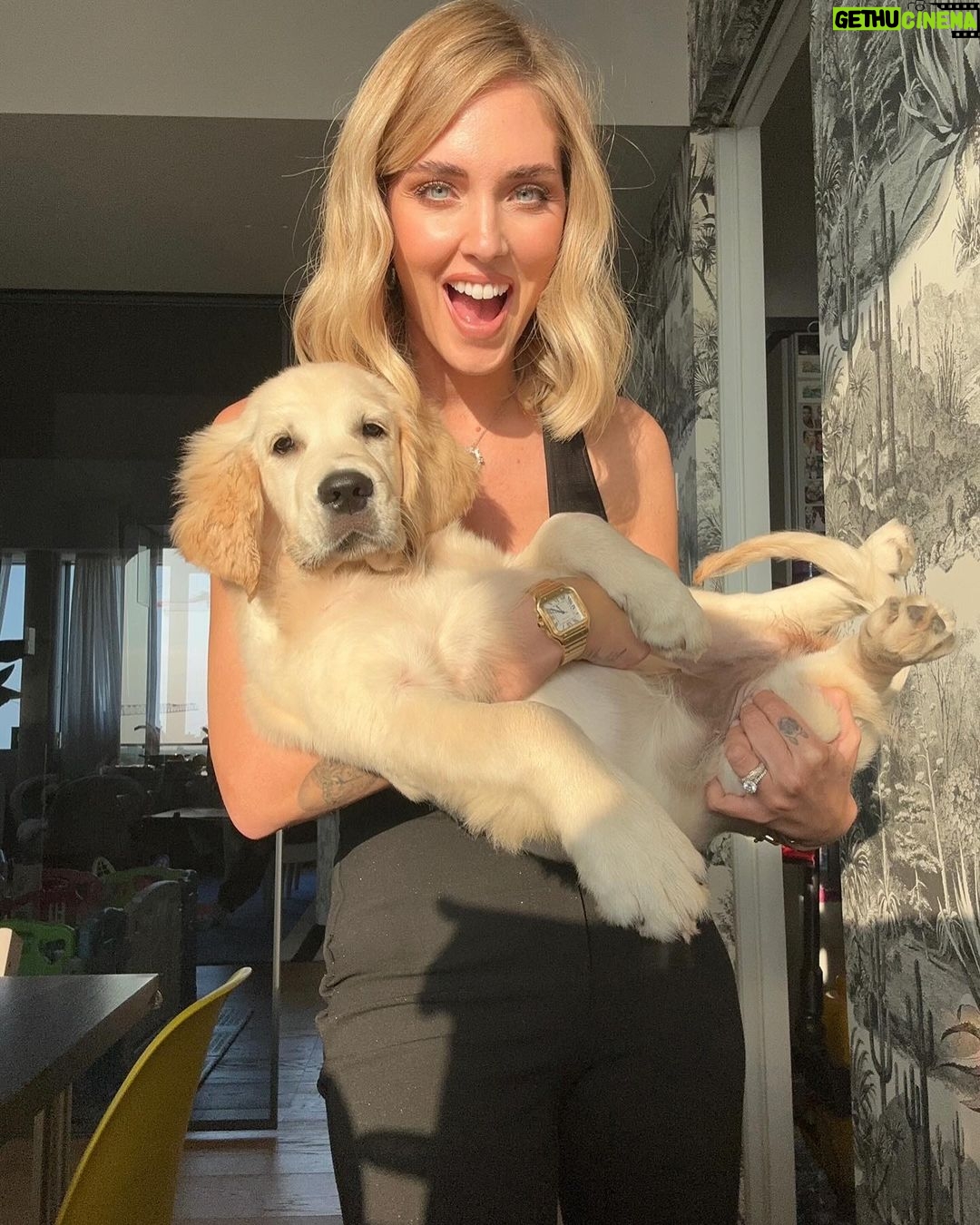 Chiara Ferragni Instagram - Six months of Paloma 🐶