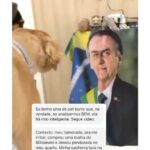 Chico Felitti Instagram – PET FAZENDO PETICE! As histórias mais tontas de tutores agindo que nem animais com seus bichos competiram nos stories. Essas são as mais votadas pelo público, tem 40 no story destacado EC PET Animal Kingdom