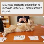 Chico Felitti Instagram - PET FAZENDO PETICE! As histórias mais tontas de tutores agindo que nem animais com seus bichos competiram nos stories. Essas são as mais votadas pelo público, tem 40 no story destacado EC PET Animal Kingdom
