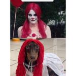Chico Felitti Instagram - BOO 👻 As melhores, as piores & as mais esquisitas fantasias de Halloween competiram nos stories. Aqui tão as 10 mais votadas pelo público. Tem outras 40 no story destacado EC Halloween 🎃 Manicomio Del Circo De Los Horrores