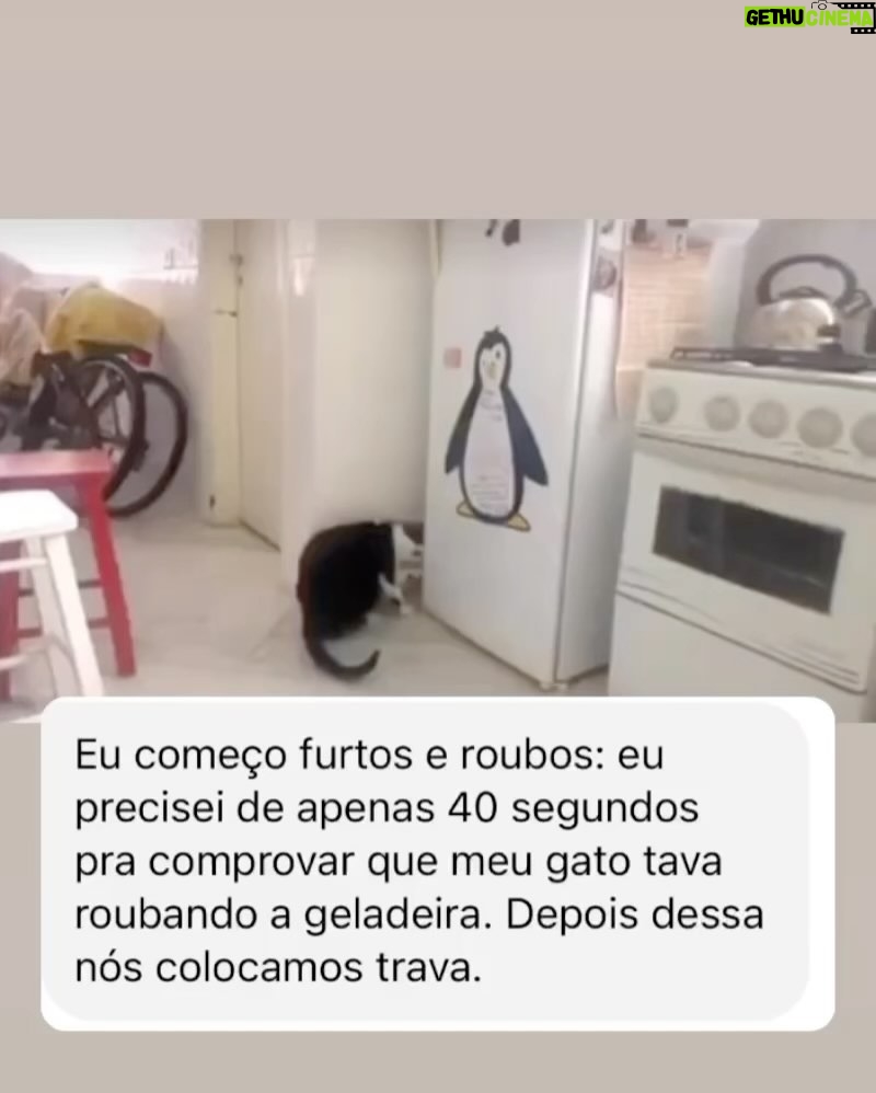 Chico Felitti Instagram - PEGA LADRÃO! As histórias mais doidas de roubo & de furto competiram ontem nos stories. Essas são as 10 mais votadas pelo público, mas dá pra ver outras 40 no story destacado EC ROUBO Pega Ladrão