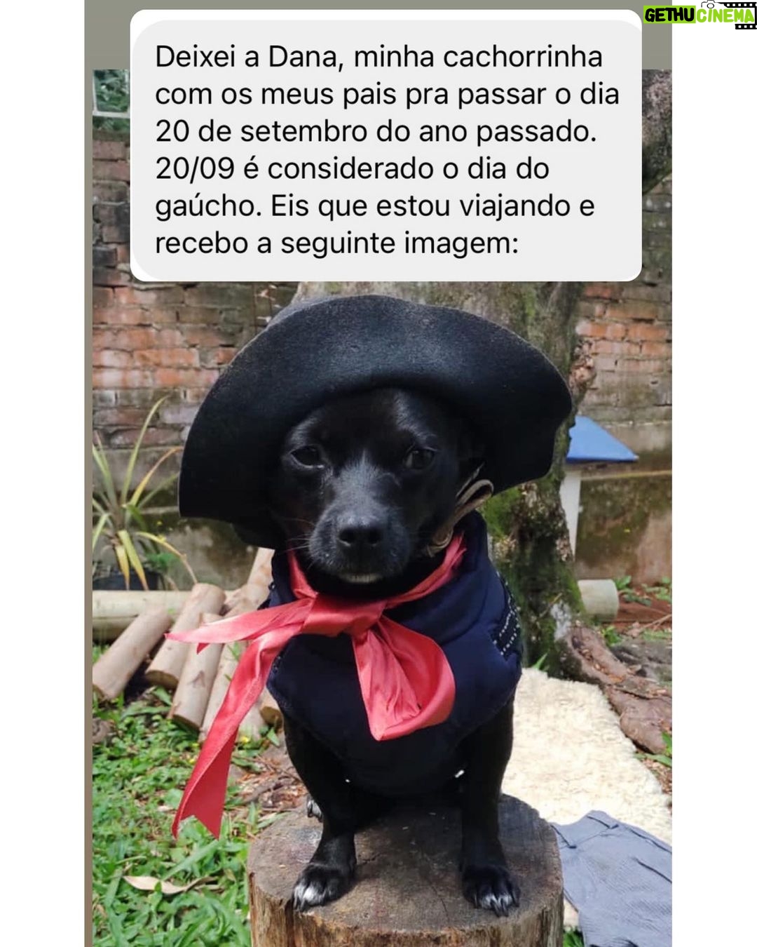 Chico Felitti Instagram - PET DA VOV脫 馃懙 . As melhores hist贸rias de pais de pais de pet competiram ontem. Aqui v茫o as mais votadas, mas tem 30 outras no story destacado EC AV脫S DE PET 馃惗 馃惐 PET SHOP BOYZ