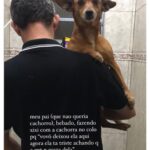Chico Felitti Instagram - PET DA VOVÓ 👵 . As melhores histórias de pais de pais de pet competiram ontem. Aqui vão as mais votadas, mas tem 30 outras no story destacado EC AVÓS DE PET 🐶 🐱 PET SHOP BOYZ
