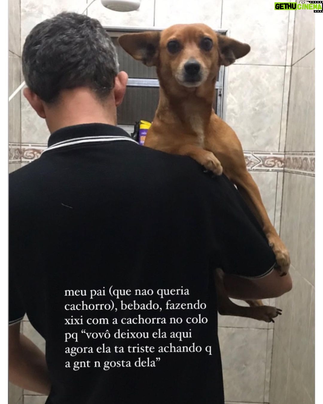Chico Felitti Instagram - PET DA VOV脫 馃懙 . As melhores hist贸rias de pais de pais de pet competiram ontem. Aqui v茫o as mais votadas, mas tem 30 outras no story destacado EC AV脫S DE PET 馃惗 馃惐 PET SHOP BOYZ