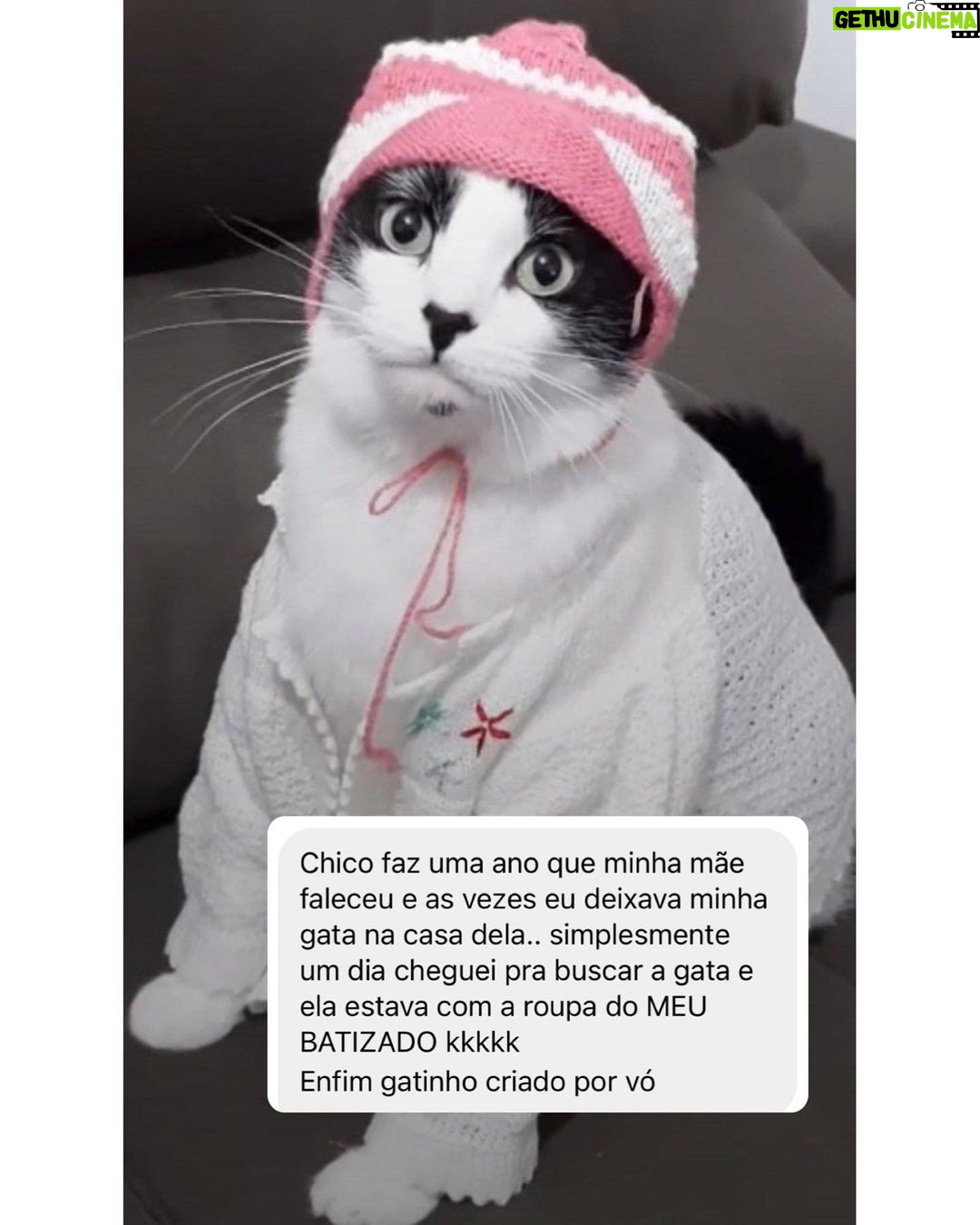 Chico Felitti Instagram - PET DA VOV脫 馃懙 . As melhores hist贸rias de pais de pais de pet competiram ontem. Aqui v茫o as mais votadas, mas tem 30 outras no story destacado EC AV脫S DE PET 馃惗 馃惐 PET SHOP BOYZ