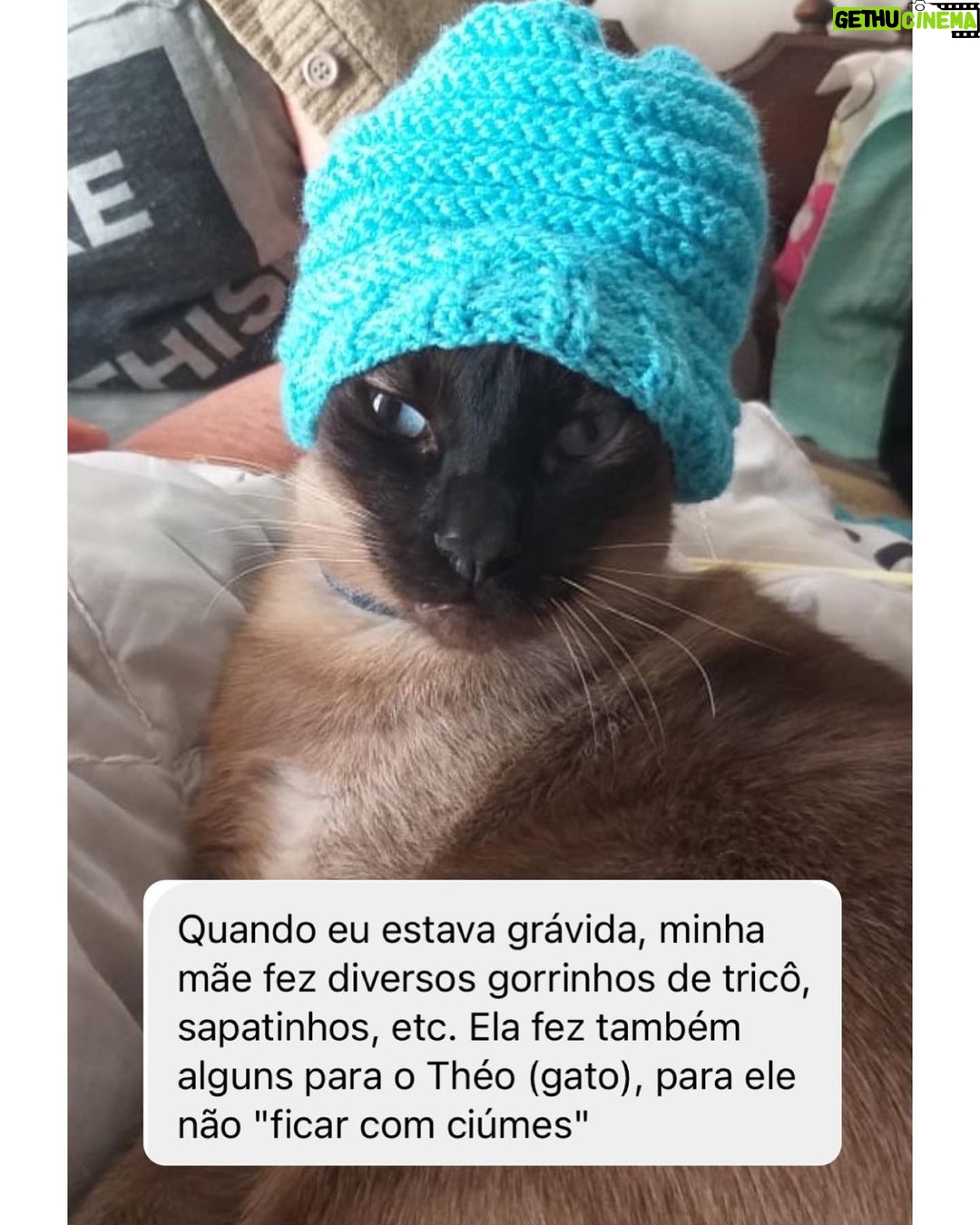 Chico Felitti Instagram - PET DA VOV脫 馃懙 . As melhores hist贸rias de pais de pais de pet competiram ontem. Aqui v茫o as mais votadas, mas tem 30 outras no story destacado EC AV脫S DE PET 馃惗 馃惐 PET SHOP BOYZ