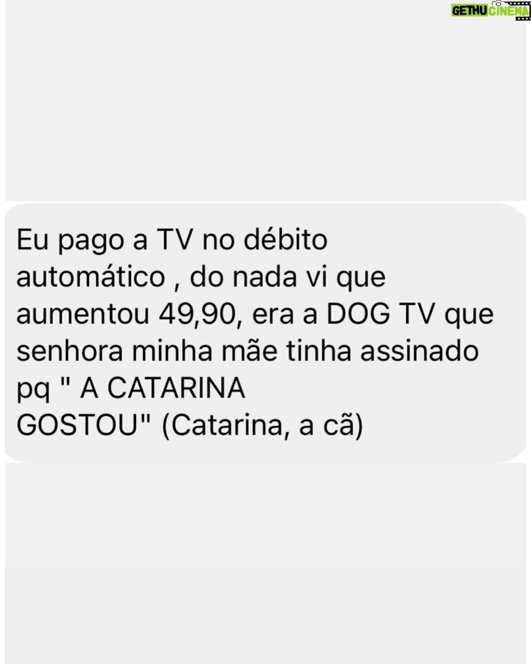 Chico Felitti Instagram - PET DA VOV脫 馃懙 . As melhores hist贸rias de pais de pais de pet competiram ontem. Aqui v茫o as mais votadas, mas tem 30 outras no story destacado EC AV脫S DE PET 馃惗 馃惐 PET SHOP BOYZ