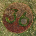 Chico Felitti Instagram - Mistério resolvido! No começo da semana, recebi umas mensagens dizendo que tinham aparecido umas flores misteriosas num campo em Holambra. Vistas do alto, elas formavam os números 36 e 48. Fui até a cidade das flores e encontrei os números, mas não só isso: tinha também um cofre enorme e perfumado, que eu não consegui abrir. Mas daí pedi ajuda pro chapa Serginho Groisman, e ele abriu o cofre no palco do Altas Horas. E dentro tinha… as novas fragrâncias misteriosas de Comfort Segredos, a nova linha premium de Comfort, que traz o segredo dos perfumes de longa duração. Os números, no fim, são o número de ingredientes que cada perfume misterioso leva em sua fórmula exclusiva, e muitos deles são inspirados em composições de perfumaria fina, para deixar suas roupas ainda mais bem cuidadas e perfumadas por mais tempo. Confira mais sobre esse mistério que eu adorei ajudar a desvendar no perfil de @comfortbrasil #publicidade