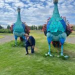 Chico Felitti Instagram - Mistério resolvido! No começo da semana, recebi umas mensagens dizendo que tinham aparecido umas flores misteriosas num campo em Holambra. Vistas do alto, elas formavam os números 36 e 48. Fui até a cidade das flores e encontrei os números, mas não só isso: tinha também um cofre enorme e perfumado, que eu não consegui abrir. Mas daí pedi ajuda pro chapa Serginho Groisman, e ele abriu o cofre no palco do Altas Horas. E dentro tinha… as novas fragrâncias misteriosas de Comfort Segredos, a nova linha premium de Comfort, que traz o segredo dos perfumes de longa duração. Os números, no fim, são o número de ingredientes que cada perfume misterioso leva em sua fórmula exclusiva, e muitos deles são inspirados em composições de perfumaria fina, para deixar suas roupas ainda mais bem cuidadas e perfumadas por mais tempo. Confira mais sobre esse mistério que eu adorei ajudar a desvendar no perfil de @comfortbrasil #publicidade