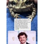 Chico Felitti Instagram - CARA DE UM…. Os pets com apelidos mais únicos competiram ontem. Esses aqui são os mais votados, tem outros 30 no story destacado EC Pet Encrequinhas Pet Shop