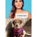 Chico Felitti Instagram - CARA DE UM…. Os pets com apelidos mais únicos competiram ontem. Esses aqui são os mais votados, tem outros 30 no story destacado EC Pet Encrequinhas Pet Shop