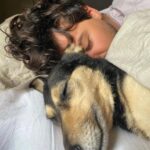 Chico Felitti Instagram - Você foi o cachorro mais esquisito q eu conheci. Chegou em casa como se tivesse 2 anos. Em um mês, a gente descobriu que tinha 12. Você saiu da rua, mas nunca deixou de ser o terror dela: rosnou pra homens & mulheres, crianças & adultos, judeus & muçulmanos. Mas, assim que chegava em casa, você virava um bebê idoso & só dormia se alguém te abraçasse. Você cuidou do renan como se fosse seu filhote, & vá saber quantos você teve de fato por aí. Você era a primeira coisa que eu via quando acordava. E eu ficava feliz de te ver & você ficava feliz de me ver. Agora, você vai ser treze quilos de vazio no sofá, onde ainda tá o seu cheiro. Você foi o melhor cachorro que eu conheci, Feia.