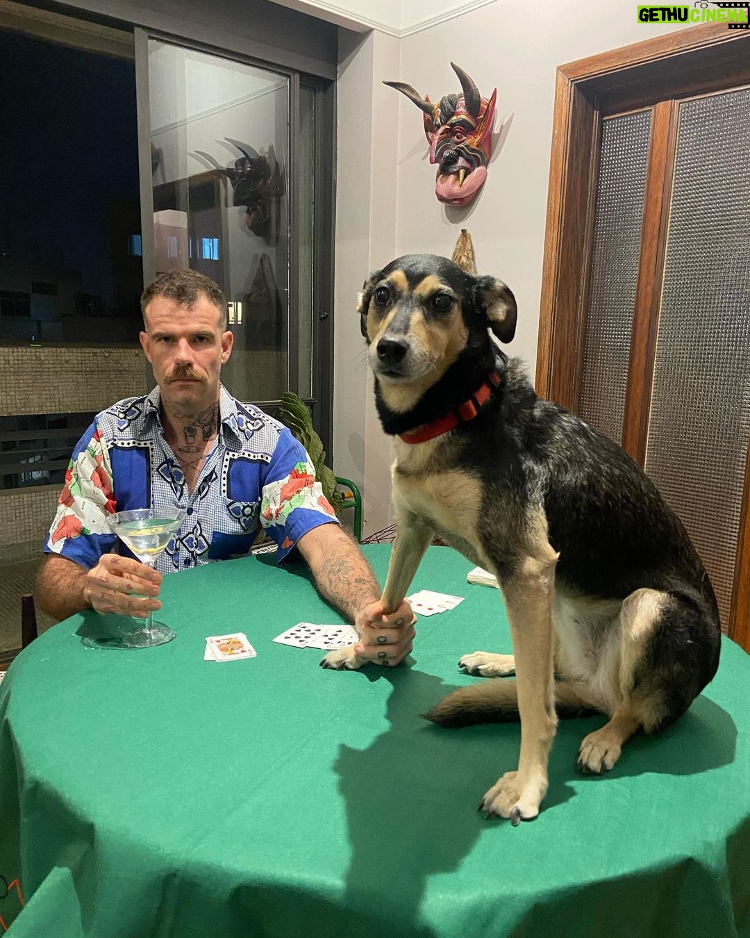 Chico Felitti - 62.4K Likes - Você foi o cachorro mais esquisito q eu conheci. Chegou em casa como se tivesse 2 anos. Em um mês, a gente descobriu que tinha 12. Você saiu da rua, mas nunca deixou de ser o terror dela: rosnou pra homens & mulheres, crianças & adultos, judeus & muçulmanos. Mas, assim que chegava em casa, você virava um bebê idoso & só dormia se alguém te abraçasse. Você cuidou do renan como se fosse seu filhote, & vá saber quantos você teve de fato por aí. Você era a primeira coisa que eu via quando acordava. E eu ficava feliz de te ver & você ficava feliz de me ver. Agora, você vai ser treze quilos de vazio no sofá, onde ainda tá o seu cheiro. Você foi o melhor cachorro que eu conheci, Feia.