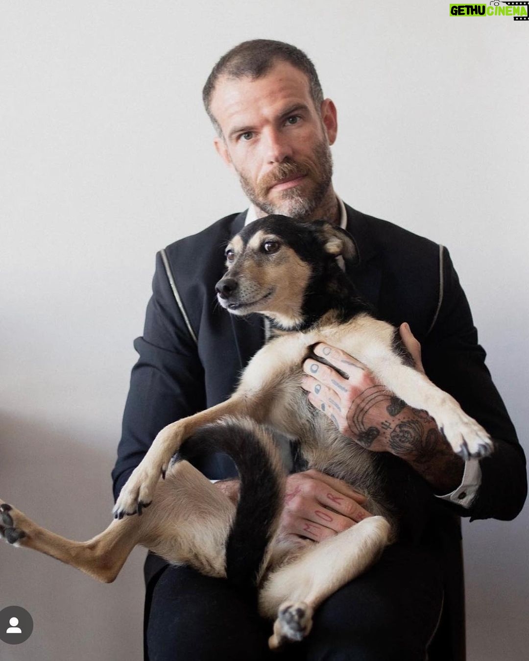Chico Felitti - 62.4K Likes - Você foi o cachorro mais esquisito q eu conheci. Chegou em casa como se tivesse 2 anos. Em um mês, a gente descobriu que tinha 12. Você saiu da rua, mas nunca deixou de ser o terror dela: rosnou pra homens & mulheres, crianças & adultos, judeus & muçulmanos. Mas, assim que chegava em casa, você virava um bebê idoso & só dormia se alguém te abraçasse. Você cuidou do renan como se fosse seu filhote, & vá saber quantos você teve de fato por aí. Você era a primeira coisa que eu via quando acordava. E eu ficava feliz de te ver & você ficava feliz de me ver. Agora, você vai ser treze quilos de vazio no sofá, onde ainda tá o seu cheiro. Você foi o melhor cachorro que eu conheci, Feia.