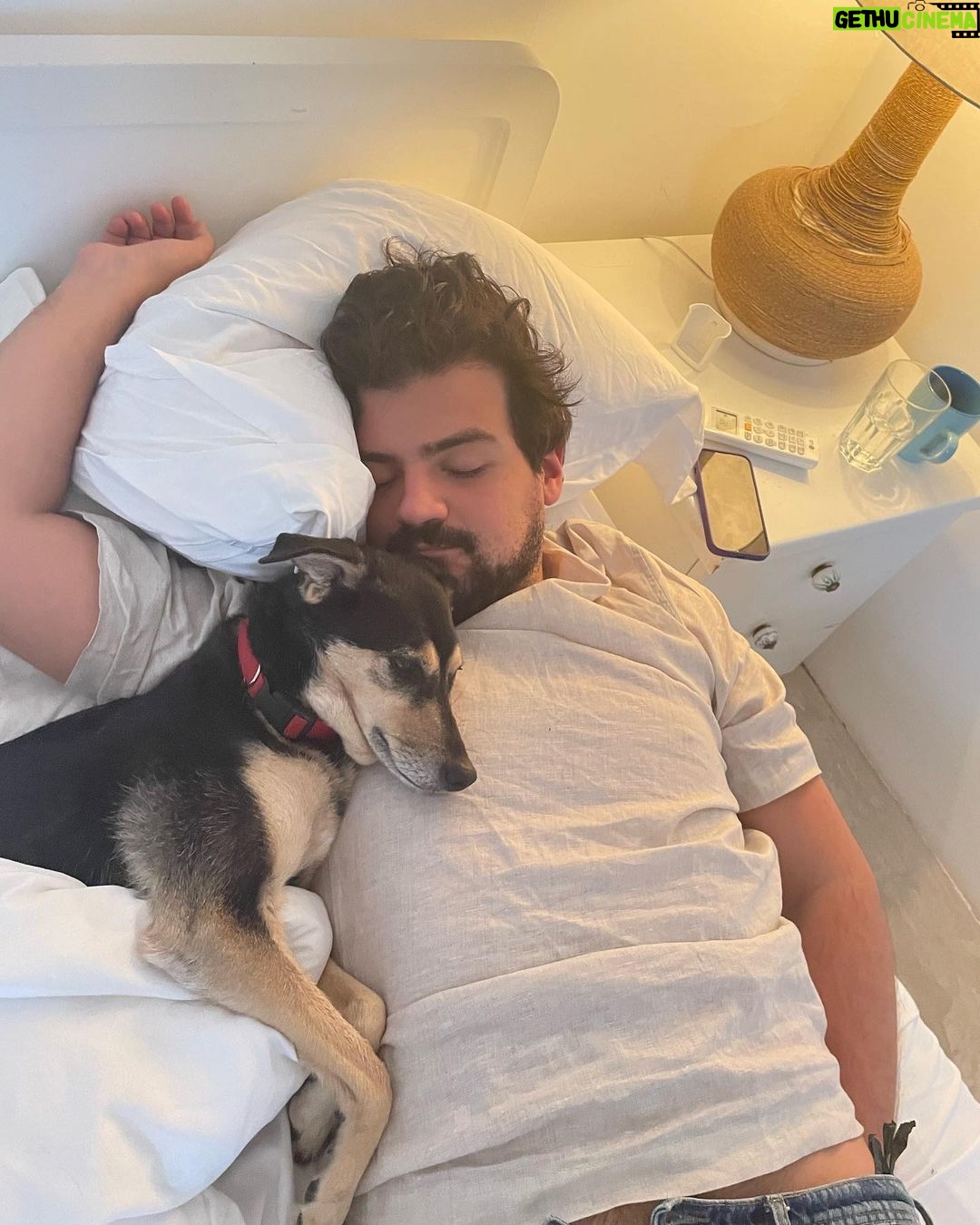 Chico Felitti - 62.4K Likes - Você foi o cachorro mais esquisito q eu conheci. Chegou em casa como se tivesse 2 anos. Em um mês, a gente descobriu que tinha 12. Você saiu da rua, mas nunca deixou de ser o terror dela: rosnou pra homens & mulheres, crianças & adultos, judeus & muçulmanos. Mas, assim que chegava em casa, você virava um bebê idoso & só dormia se alguém te abraçasse. Você cuidou do renan como se fosse seu filhote, & vá saber quantos você teve de fato por aí. Você era a primeira coisa que eu via quando acordava. E eu ficava feliz de te ver & você ficava feliz de me ver. Agora, você vai ser treze quilos de vazio no sofá, onde ainda tá o seu cheiro. Você foi o melhor cachorro que eu conheci, Feia.