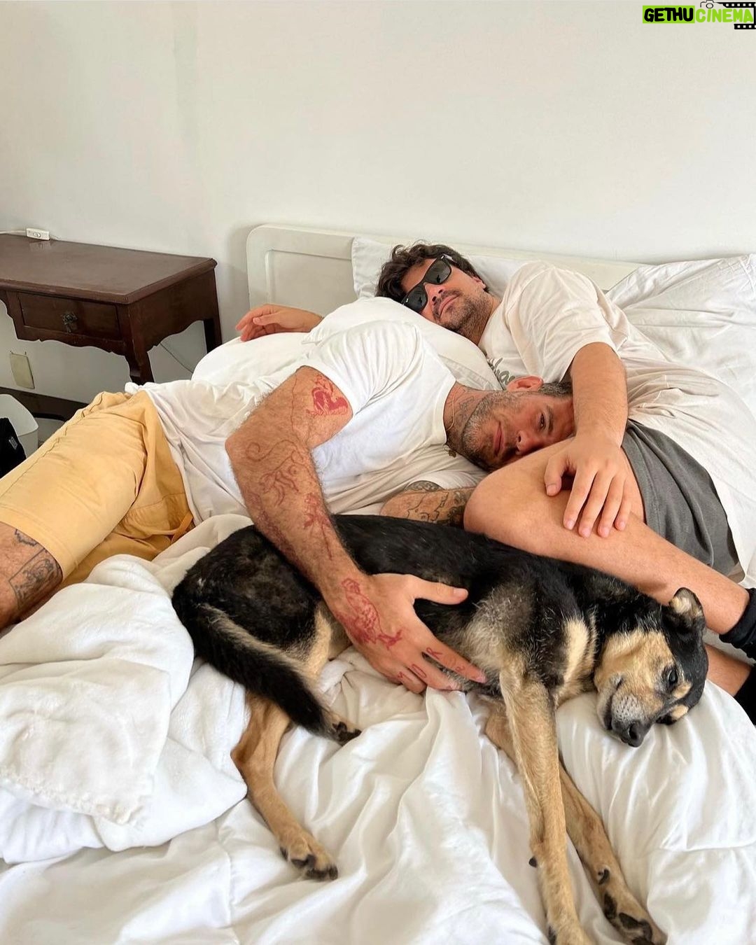 Chico Felitti - 62.4K Likes - Você foi o cachorro mais esquisito q eu conheci. Chegou em casa como se tivesse 2 anos. Em um mês, a gente descobriu que tinha 12. Você saiu da rua, mas nunca deixou de ser o terror dela: rosnou pra homens & mulheres, crianças & adultos, judeus & muçulmanos. Mas, assim que chegava em casa, você virava um bebê idoso & só dormia se alguém te abraçasse. Você cuidou do renan como se fosse seu filhote, & vá saber quantos você teve de fato por aí. Você era a primeira coisa que eu via quando acordava. E eu ficava feliz de te ver & você ficava feliz de me ver. Agora, você vai ser treze quilos de vazio no sofá, onde ainda tá o seu cheiro. Você foi o melhor cachorro que eu conheci, Feia.