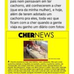 Chico Felitti Instagram - PET DA VOVÓ 👵 . As melhores histórias de pais de pais de pet competiram ontem. Aqui vão as mais votadas, mas tem 30 outras no story destacado EC AVÓS DE PET 🐶 🐱 PET SHOP BOYZ