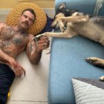 Chico Felitti Instagram - Você foi o cachorro mais esquisito q eu conheci. Chegou em casa como se tivesse 2 anos. Em um mês, a gente descobriu que tinha 12. Você saiu da rua, mas nunca deixou de ser o terror dela: rosnou pra homens & mulheres, crianças & adultos, judeus & muçulmanos. Mas, assim que chegava em casa, você virava um bebê idoso & só dormia se alguém te abraçasse. Você cuidou do renan como se fosse seu filhote, & vá saber quantos você teve de fato por aí. Você era a primeira coisa que eu via quando acordava. E eu ficava feliz de te ver & você ficava feliz de me ver. Agora, você vai ser treze quilos de vazio no sofá, onde ainda tá o seu cheiro. Você foi o melhor cachorro que eu conheci, Feia.