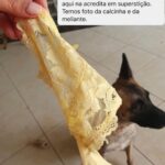 Chico Felitti Instagram - VIDA NOVA! As histórias mais surreais de resolução de ano novo competiram ontem. Aqui vão as dez mais votadas, mas tem 20 no story destacado EC Ano Novo. Um feliz ano por aí 🎈❤️ NOVO ANO VIDA NOVA