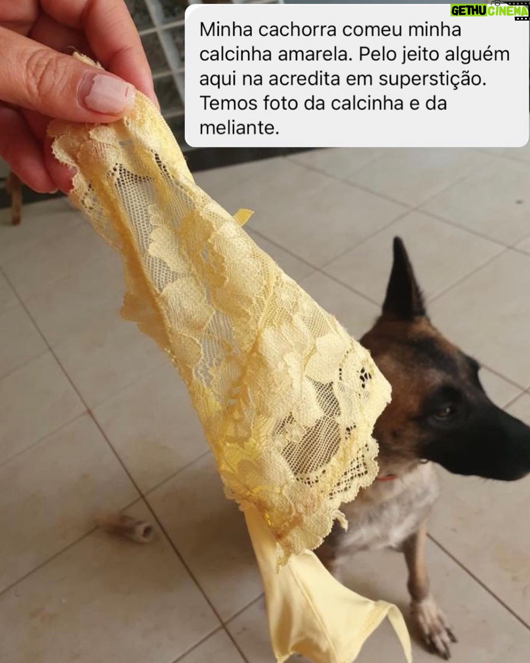 Chico Felitti Instagram - VIDA NOVA! As histórias mais surreais de resolução de ano novo competiram ontem. Aqui vão as dez mais votadas, mas tem 20 no story destacado EC Ano Novo. Um feliz ano por aí 🎈❤️ NOVO ANO VIDA NOVA